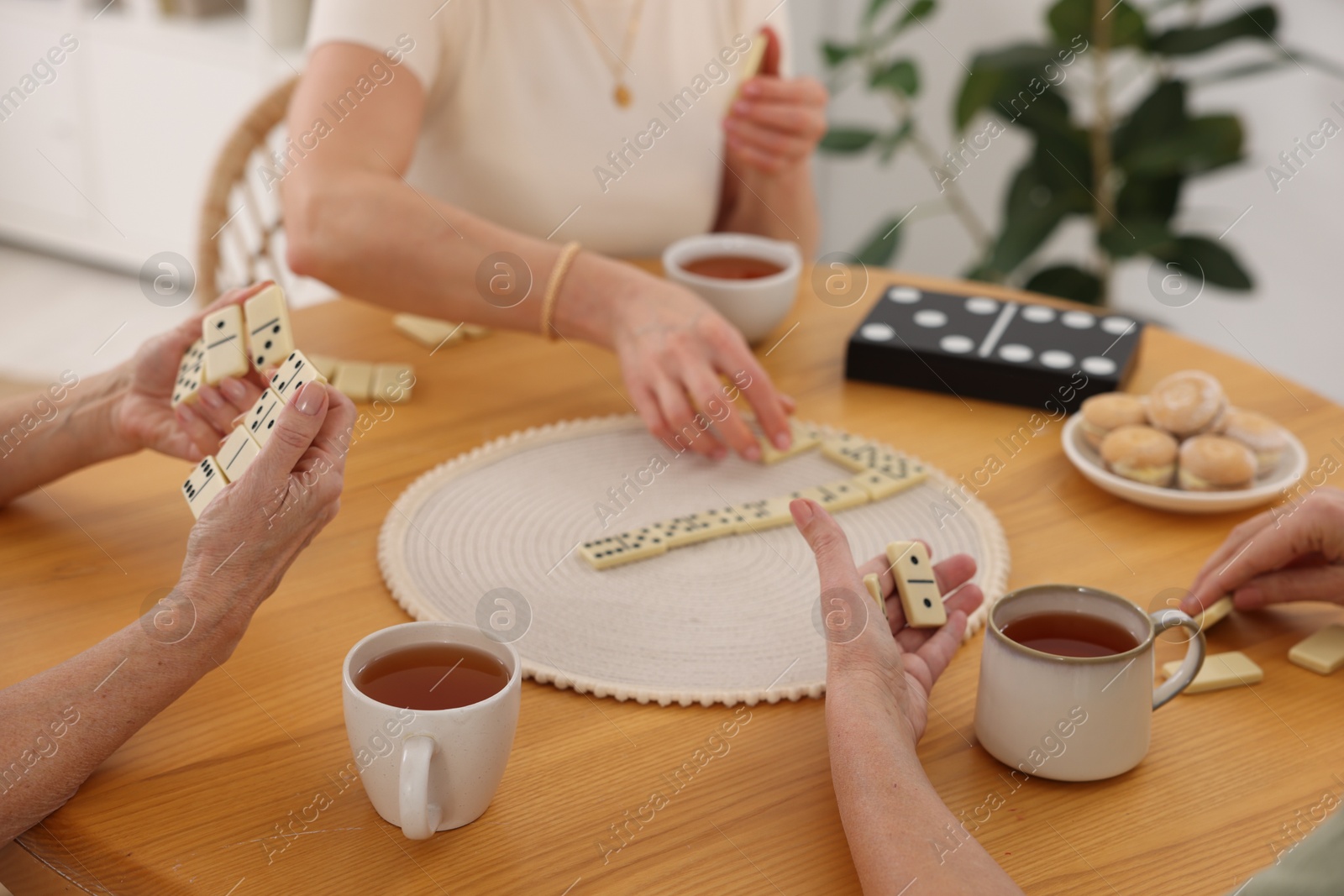 Photo of Friendship. Senior women playing dominoes at wooden table indoors, closeup