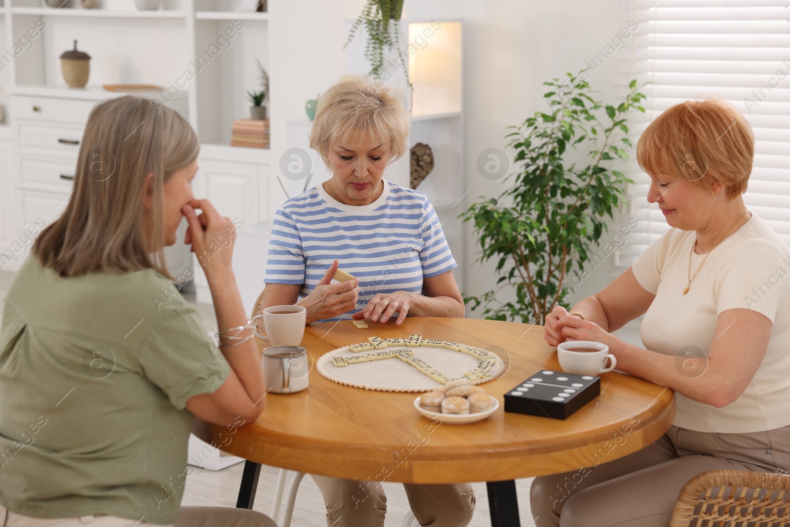 Photo of Friendship. Senior women playing dominoes at wooden table indoors