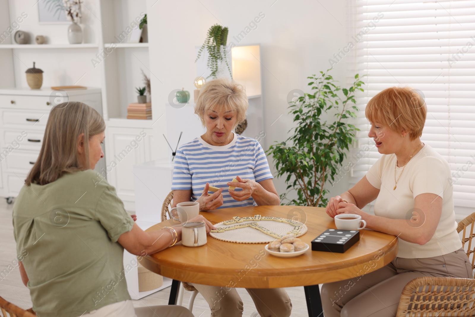 Photo of Friendship. Senior women playing dominoes at wooden table indoors