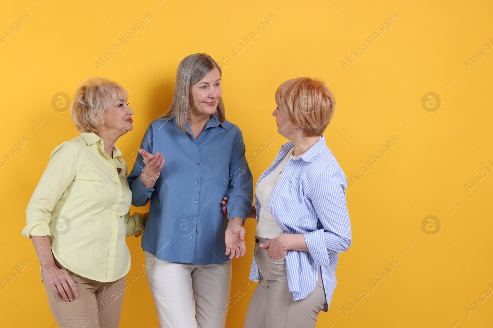 Photo of Friendship. Portrait of senior women on orange background