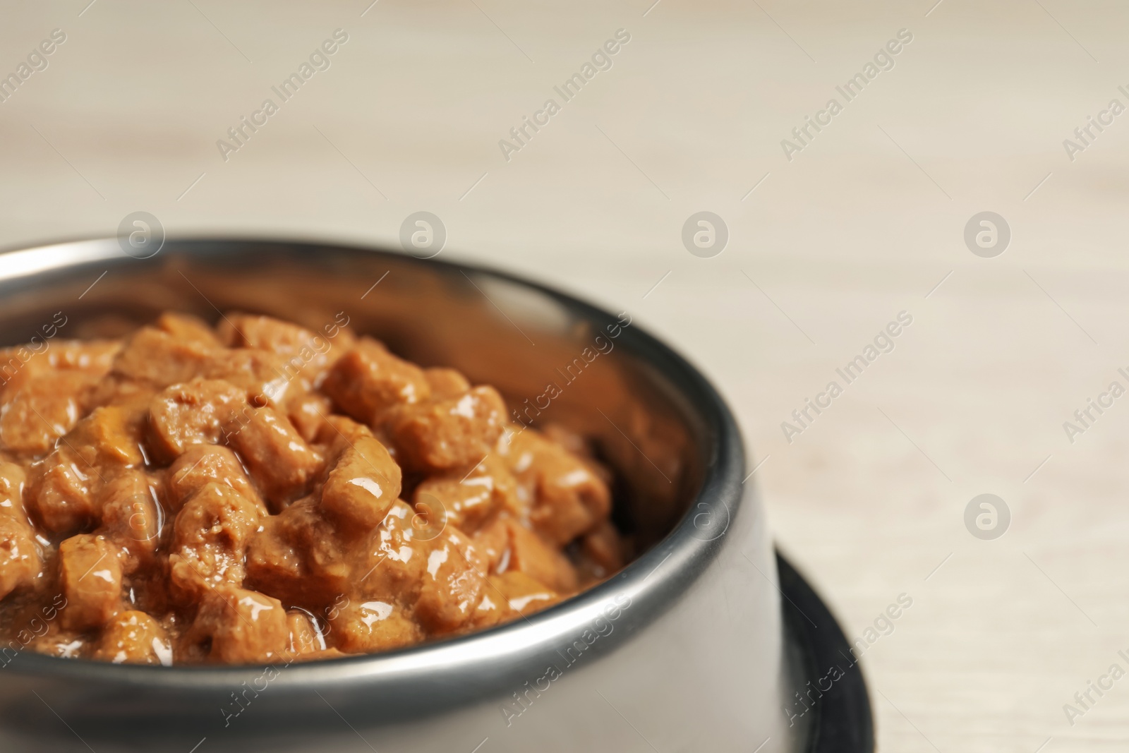 Photo of Wet pet food in feeding bowl on light background, closeup. Space for text