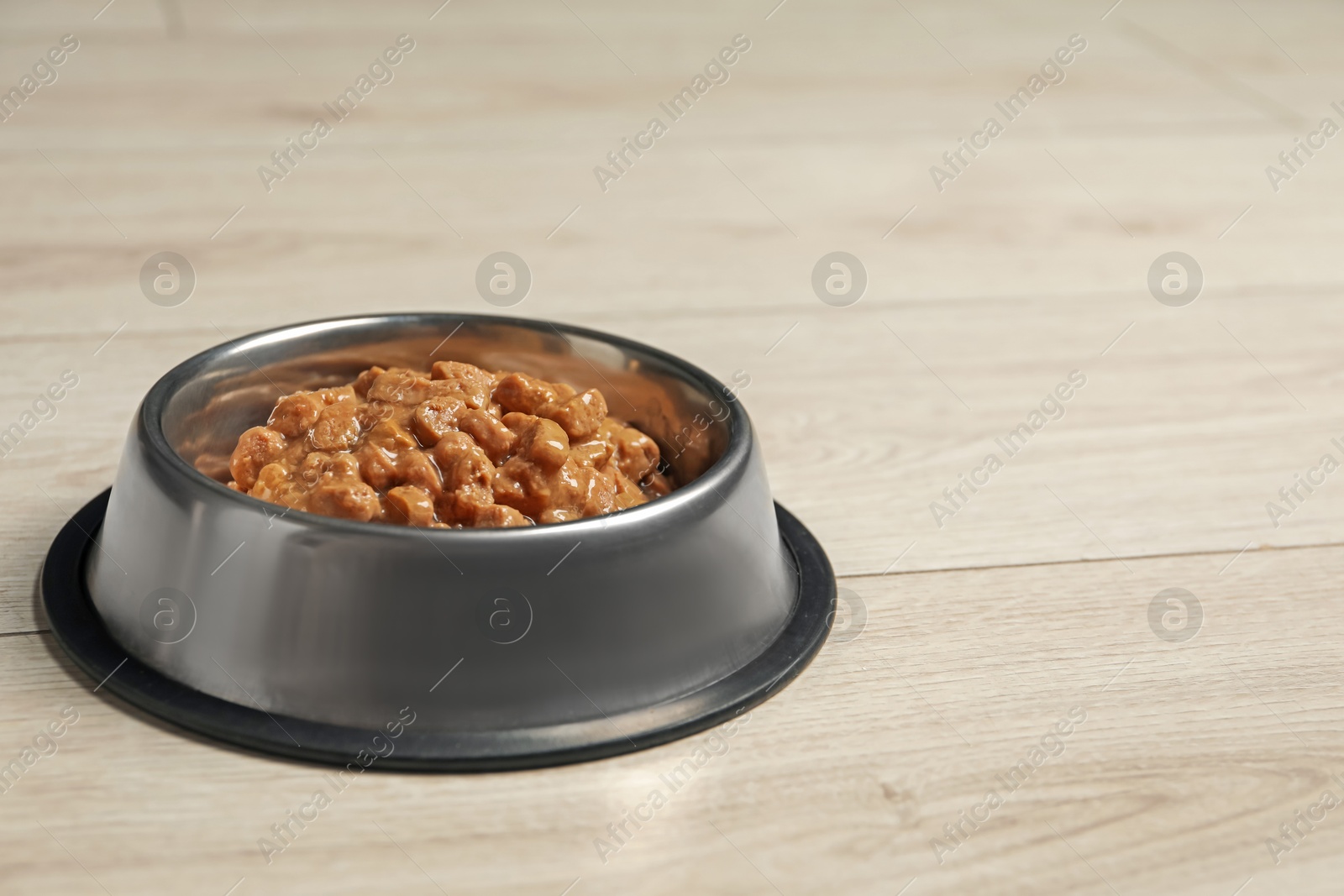 Photo of Wet pet food in feeding bowl on floor, space for text