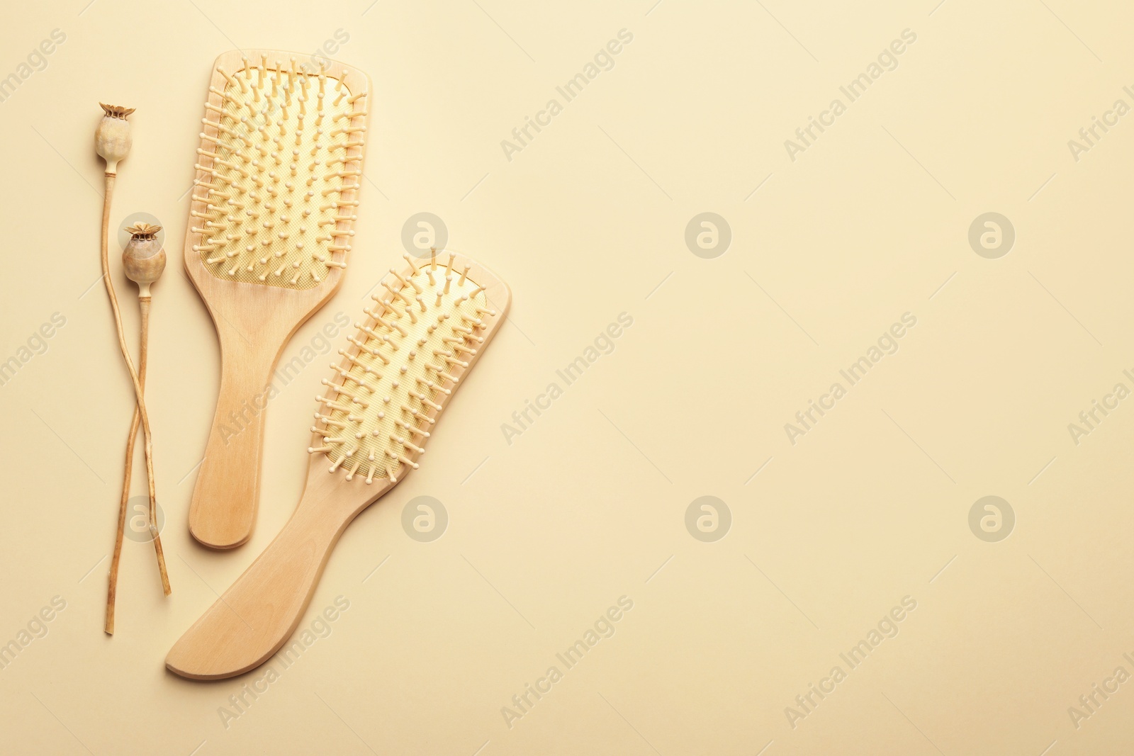 Photo of Wooden hair brushes and poppy heads on beige background, top view. Space for text