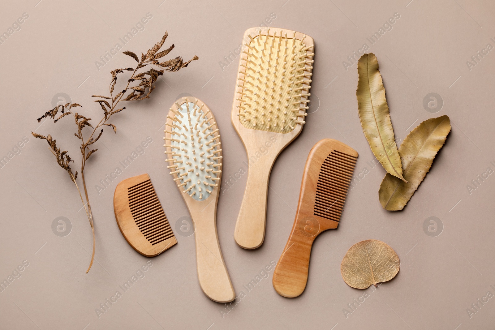 Photo of Wooden hair brushes, combs and plants on color background, flat lay