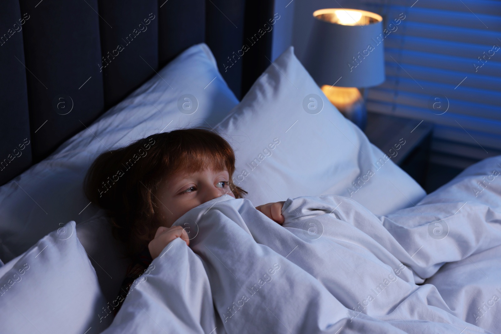 Photo of Scared boy hiding under duvet in bed at night