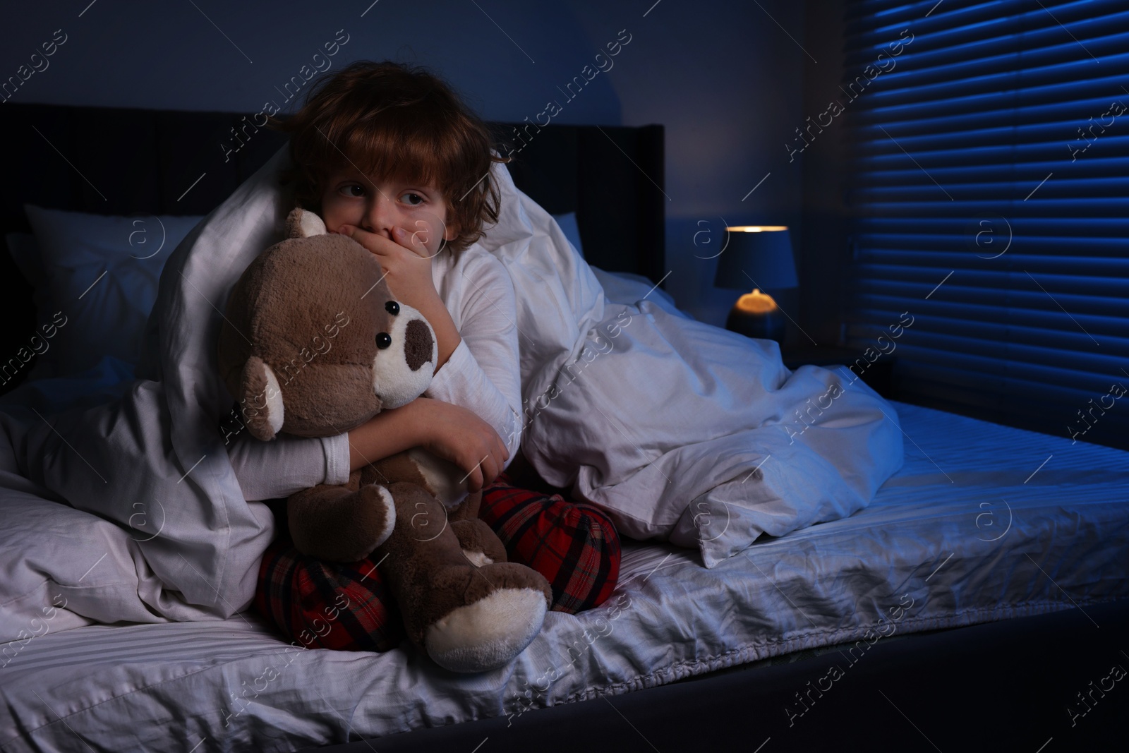 Photo of Scared boy with teddy bear in bed at night. Space for text