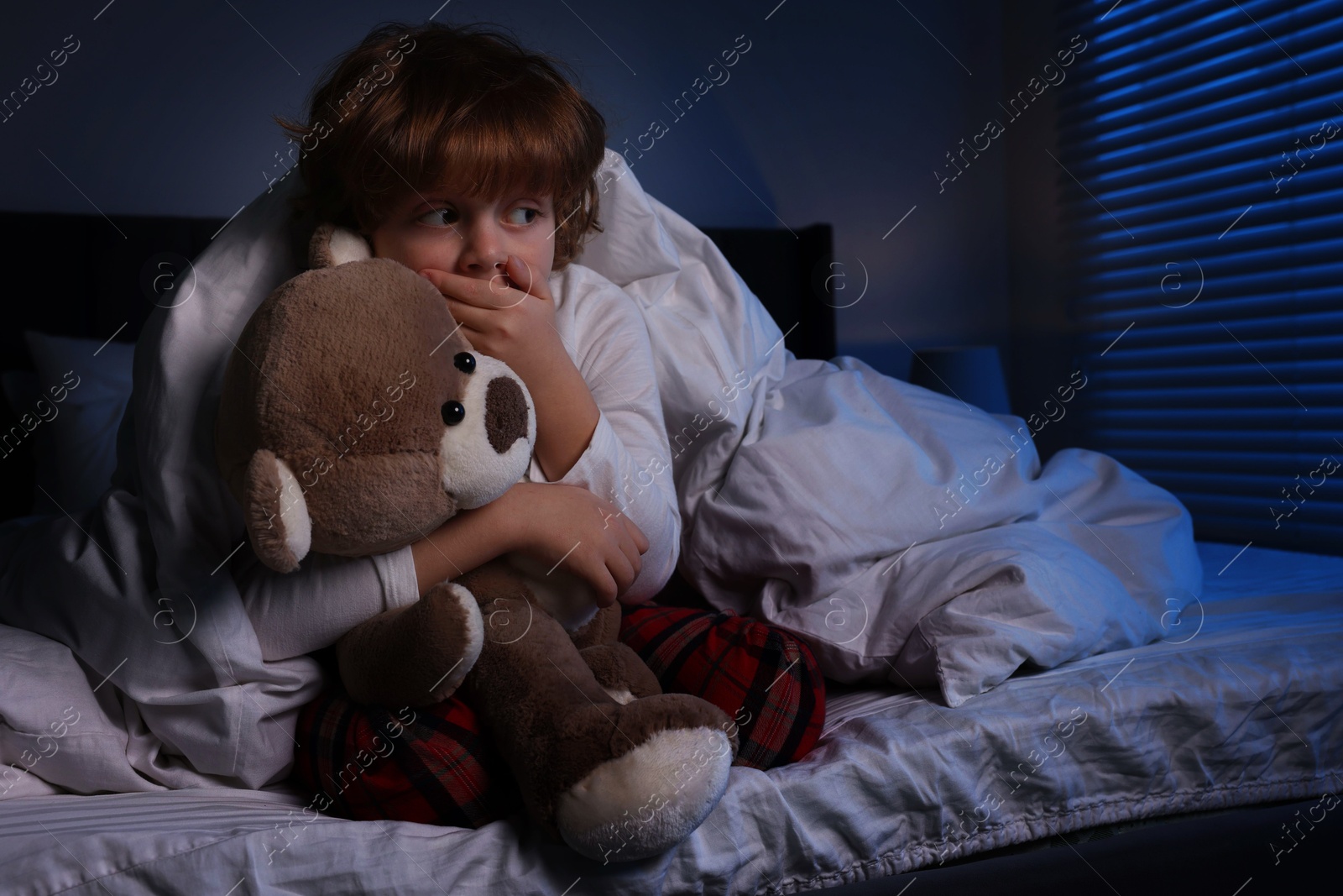 Photo of Scared boy with teddy bear in bed at night. Space for text