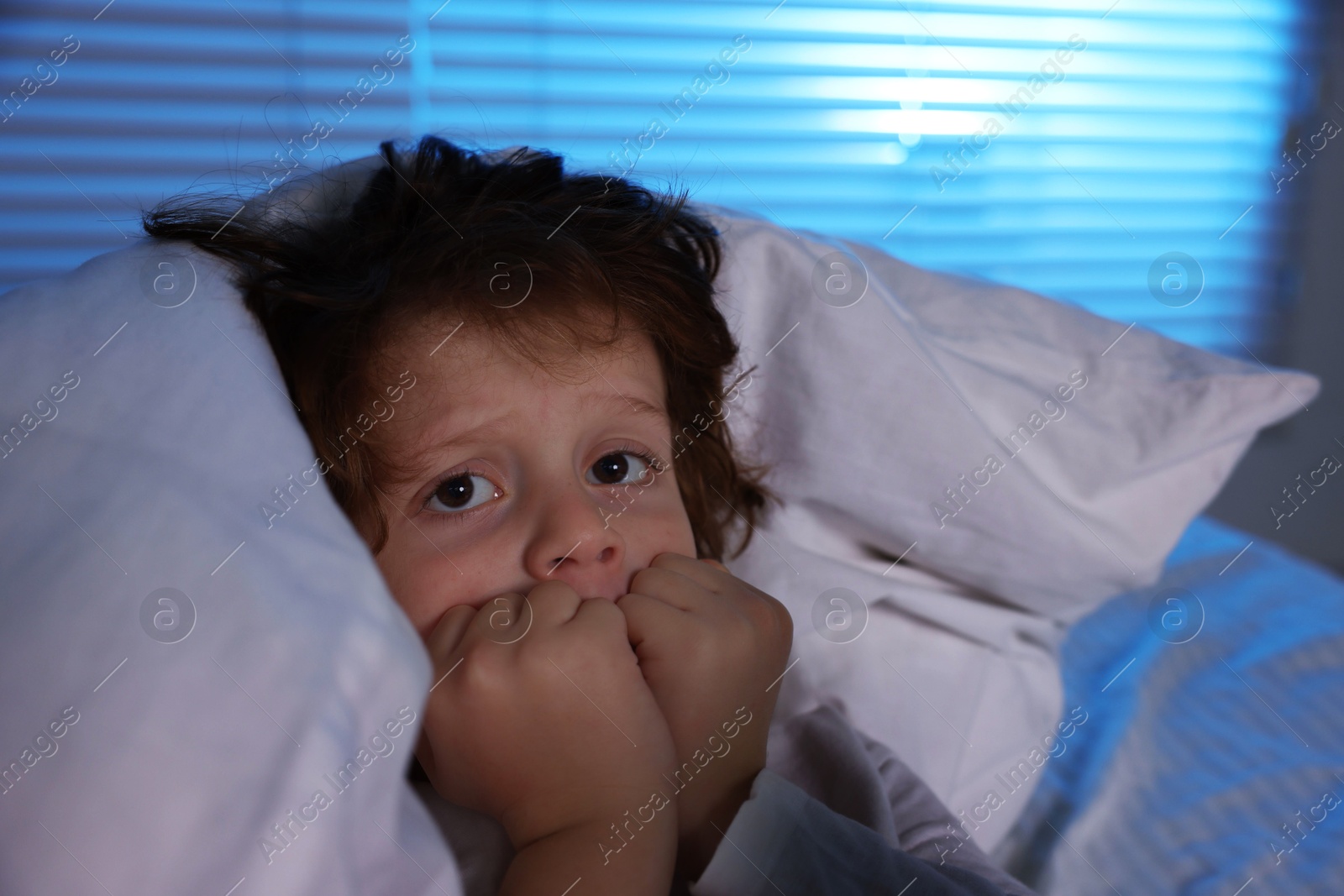 Photo of Scared boy under duvet in bed at night