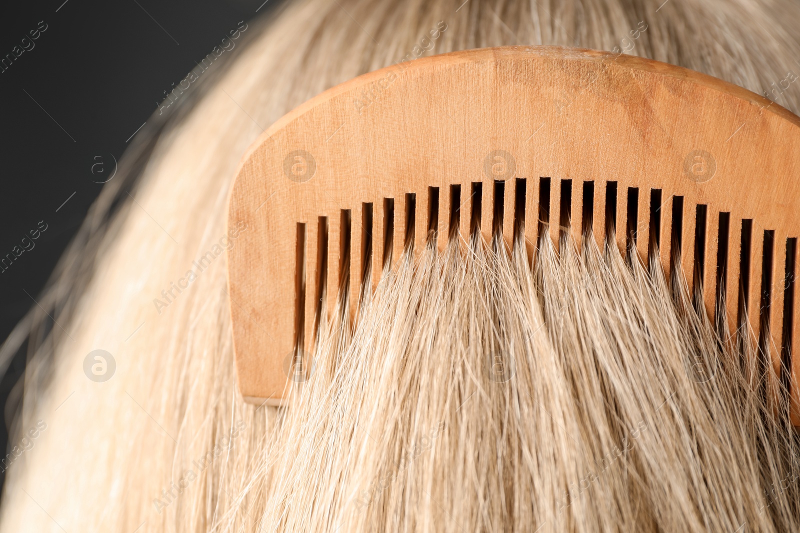 Photo of Brushing hair with plastic comb on dark background, closeup