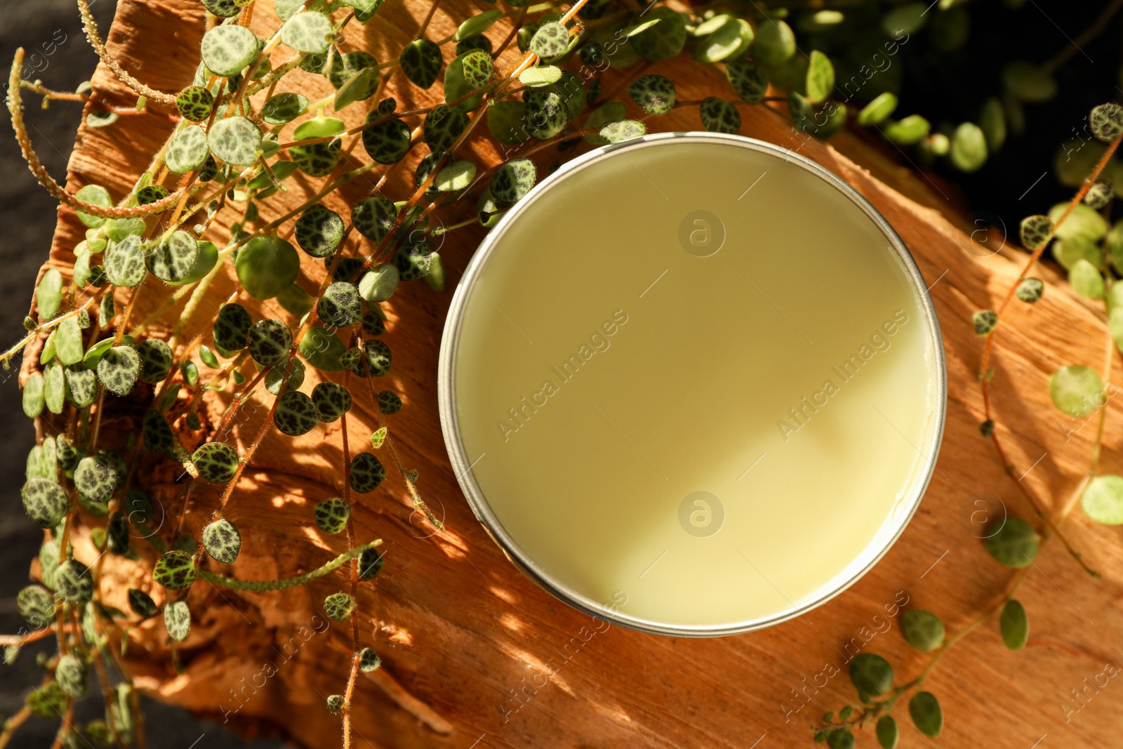 Photo of Natural solid perfume and plant on wood, top view