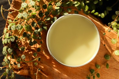 Photo of Natural solid perfume and plant on wood, top view