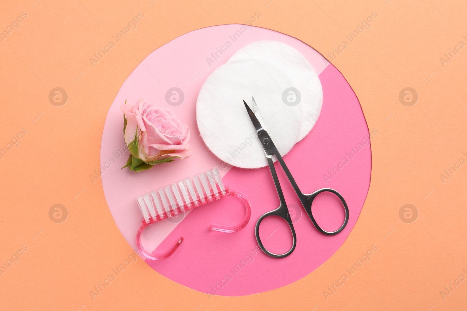 Photo of Set of pedicure tools and flower on color background, flat lay