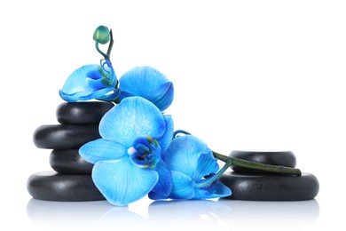 Photo of Beautiful blue orchid flowers and spa stones on mirror surface against white background