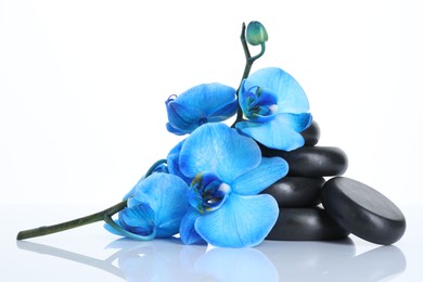 Photo of Beautiful blue orchid flowers and spa stones on mirror surface against white background
