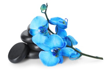 Photo of Beautiful blue orchid flowers and spa stones isolated on white