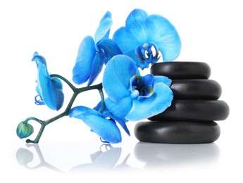 Photo of Beautiful blue orchid flowers and spa stones on mirror surface against white background