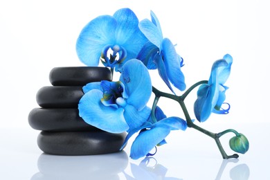 Photo of Beautiful blue orchid flowers and spa stones on mirror surface against white background