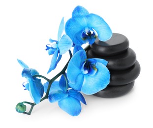 Photo of Beautiful blue orchid flowers and spa stones isolated on white