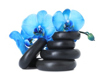 Photo of Beautiful blue orchid flowers and spa stones isolated on white