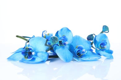Photo of Beautiful blue orchid flowers on mirror surface against white background