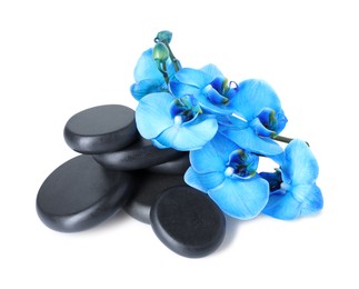 Photo of Beautiful blue orchid flowers and spa stones isolated on white