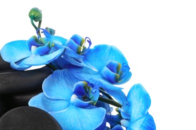 Photo of Beautiful blue orchid flowers and spa stones isolated on white