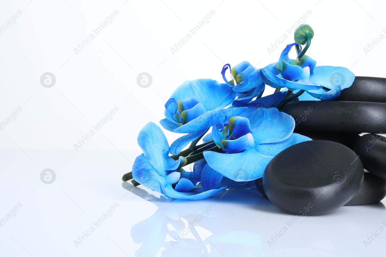 Beautiful blue orchid flowers and spa stones on mirror surface against white background Photo of Beautiful blue orchid flowers and spa stones on mirror surface against white background
