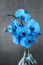 Photo of Beautiful blue orchid flowers in glass vase on grey background, closeup
