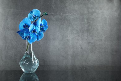 Photo of Beautiful blue orchid flowers in glass vase on mirror surface, space for text