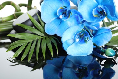 Photo of Beautiful blue orchid flowers, green leaves and spa stones on mirror surface, closeup
