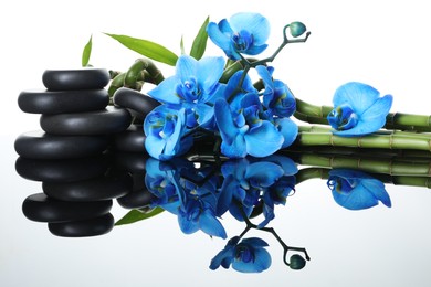 Photo of Beautiful blue orchid flowers, bamboo stems and spa stones on mirror surface against white background