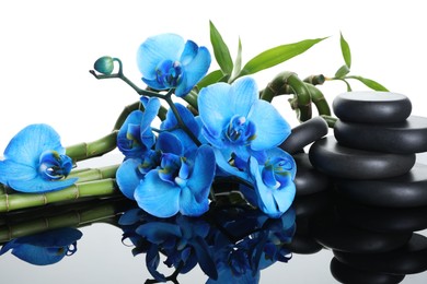 Photo of Beautiful blue orchid flowers, bamboo stems and spa stones on mirror surface against white background