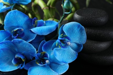 Photo of Beautiful blue orchid flowers, spa stones and bamboo stems on table, closeup