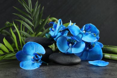 Photo of Beautiful blue orchid flowers, bamboo stems, green leaves and spa stones on grey table