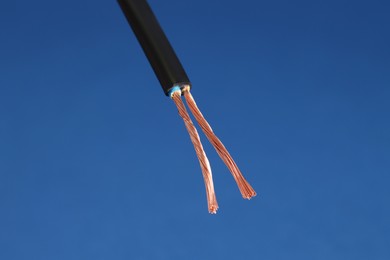 Photo of Black stripped electrical wire on blue background, closeup