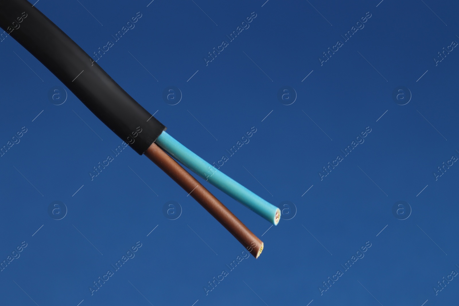 Photo of Black stripped electrical wire on blue background, closeup