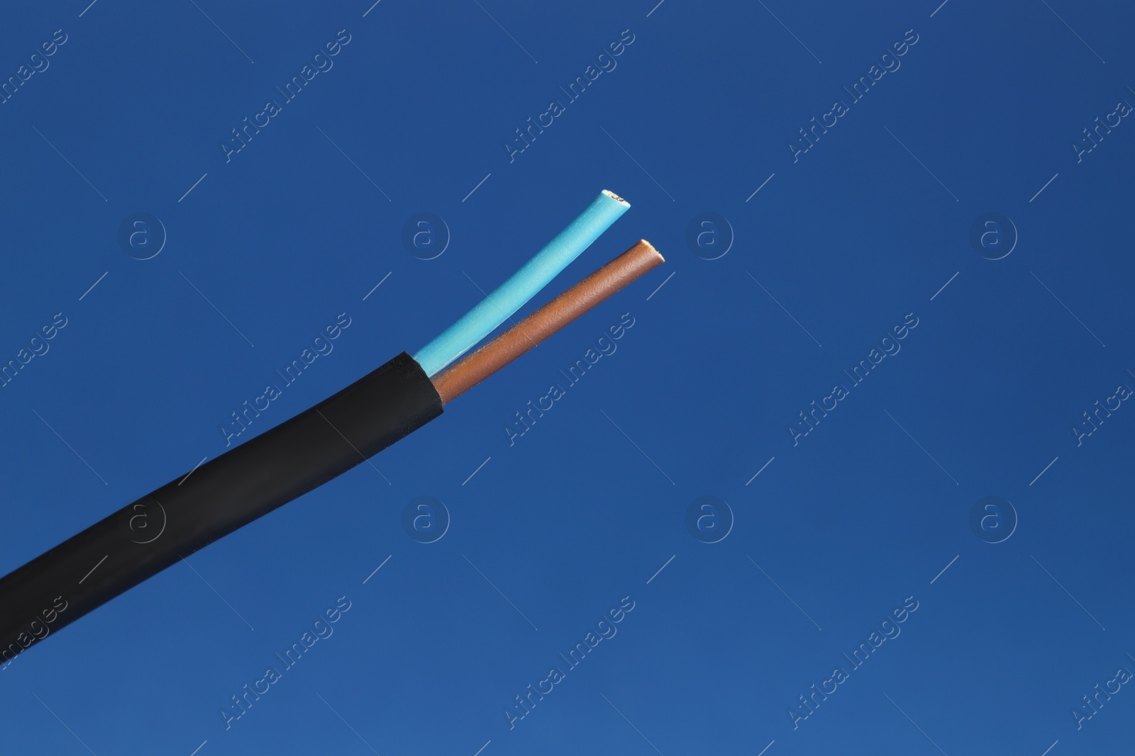 Photo of Black stripped electrical wire on blue background, closeup. Space for text