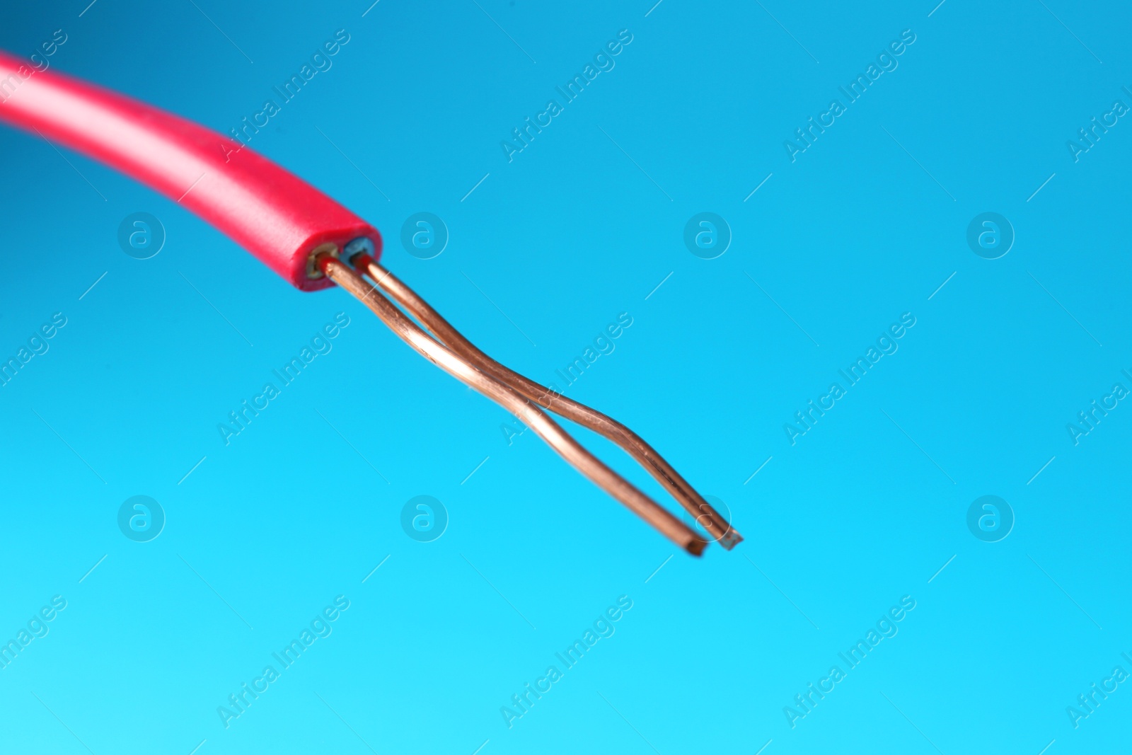 Photo of Stripped electrical wire with copper strands on light blue background, closeup