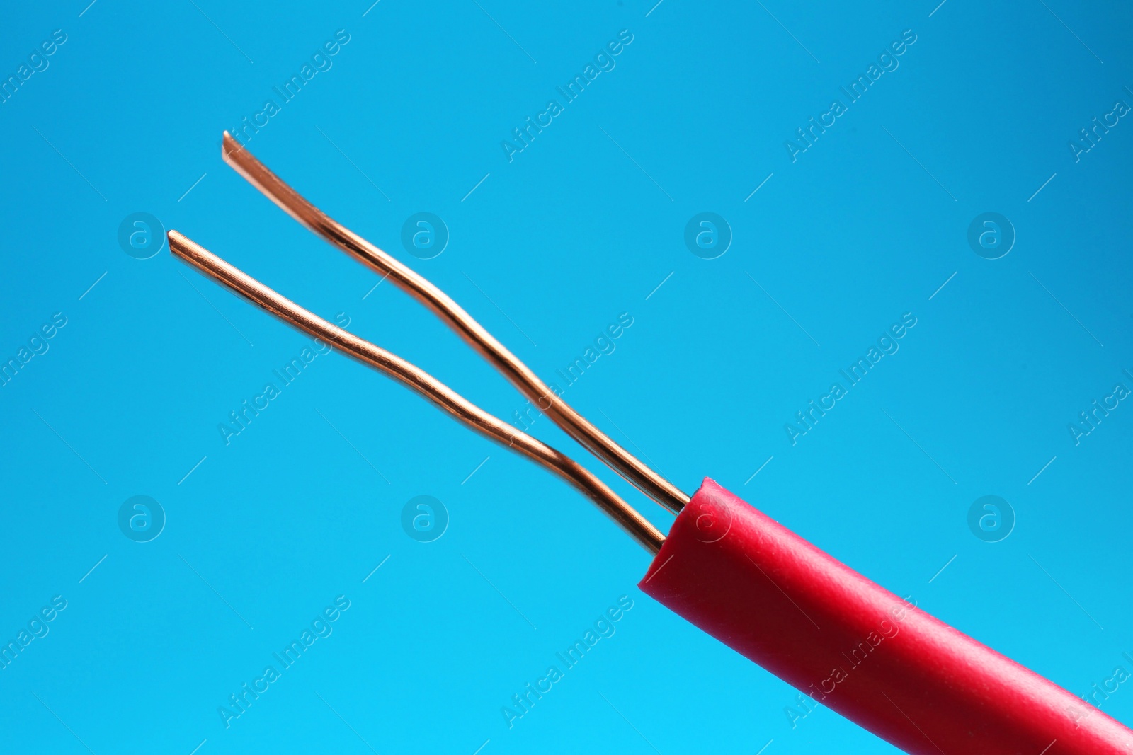 Photo of Stripped electrical wire with copper strands on light blue background, closeup