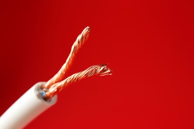 Photo of Stripped electrical wire with copper strands on red background, closeup. Space for text