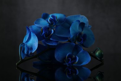Photo of Beautiful blue orchid flowers on mirror surface
