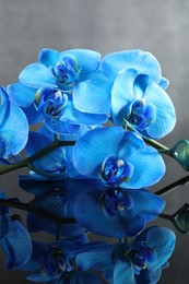 Photo of Beautiful blue orchid flowers on mirror surface