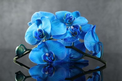 Photo of Beautiful blue orchid flowers on mirror surface