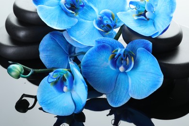 Photo of Beautiful blue orchid flowers and spa stones on mirror surface, closeup