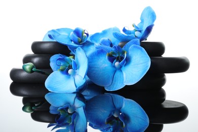 Photo of Beautiful blue orchid flowers and spa stones on mirror surface