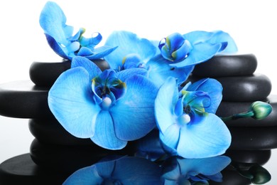 Photo of Beautiful blue orchid flowers and spa stones on mirror surface, closeup