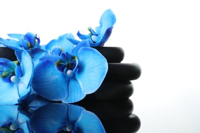 Photo of Beautiful blue orchid flowers and spa stones on mirror surface, closeup. Space for text
