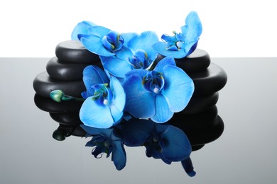 Photo of Beautiful blue orchid flowers and spa stones on mirror surface