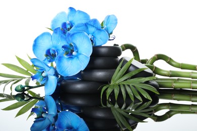Photo of Beautiful blue orchid flowers, bamboo stems, green leaves and spa stones on mirror surface against white background