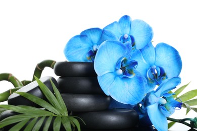Photo of Beautiful blue orchid flowers, bamboo stems, green leaves and spa stones on white background, closeup